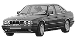 BMW E34 P3495 Fault Code